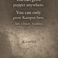 Map of Kampot, Cambodia – Origin of PGI Kampot Pepper